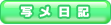 写メ日記